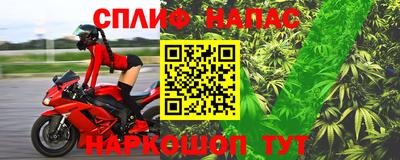 сатива Ачхой-Мартан