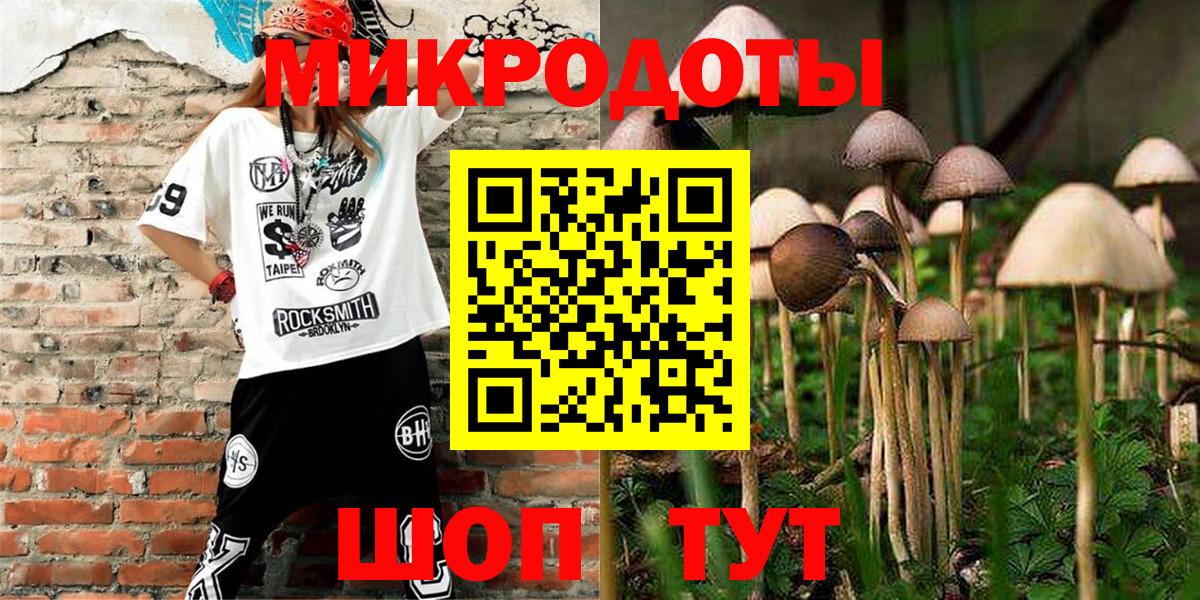 Галлюциногенные грибы прущие грибы  Вход с VPN  Артём 